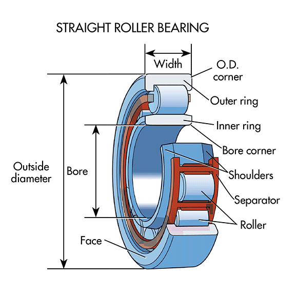 types of bearings