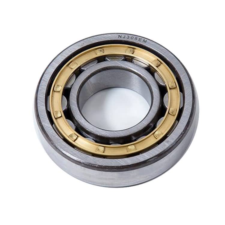 radial full cylindrical roller bearing-2