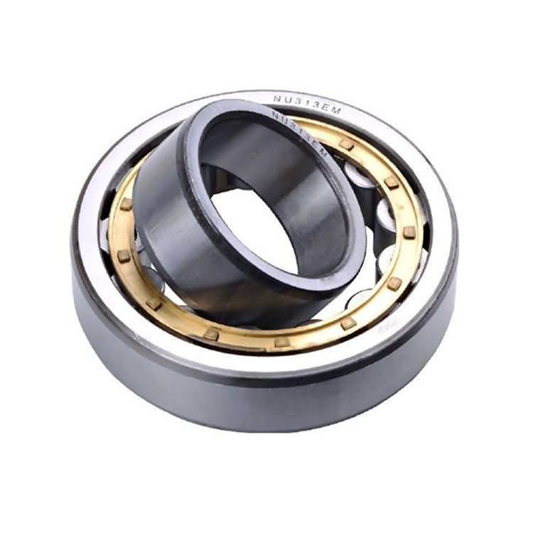 radial full cylindrical roller bearing-1