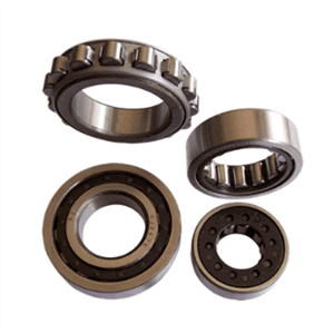 Do you know the types of full complement cylindrical roller bearings?