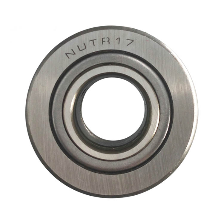 Track Runner Bearing