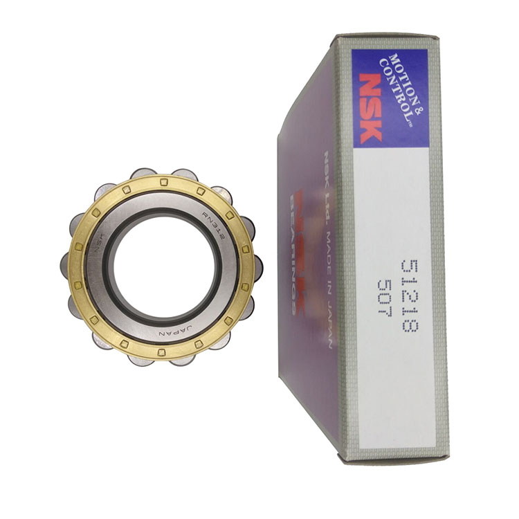 NSK rn312 bearing Cylindrical Roller Bearing Without Outer Ring