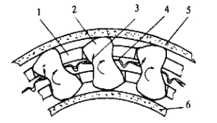 one way rotation clutch bearings factory