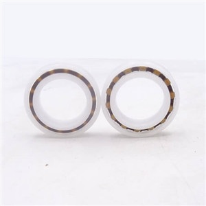 What are the features of POM waterproof ball bearing?