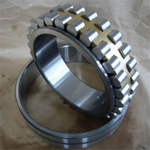 bearing producer double cylindrical roller bearing