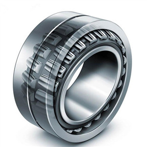 How much do you know about the double cylindrical roller bearing?