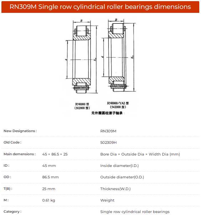 RN 309 M bearing datasheet