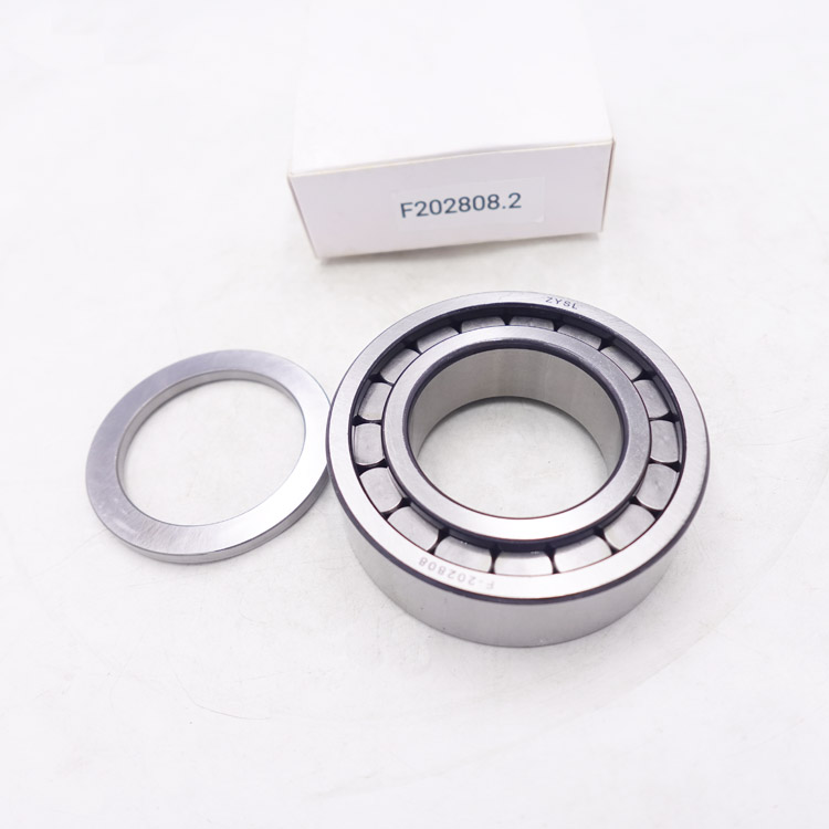 F-202808.02 Cylindrical Roller Bearing factory