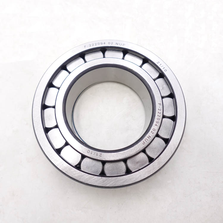 F-222094.02 NUP Hydraulic Pump Bearing Cylindrical Roller Bearing