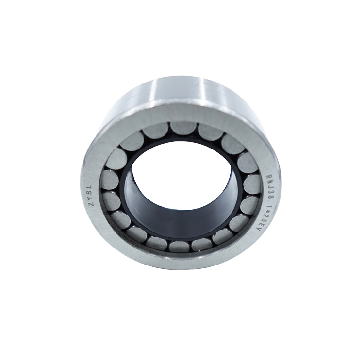 RNJ38.1-25EV bearing RNJ Series RNJ38.1-25 Radial Cylindrical Roller Bearing